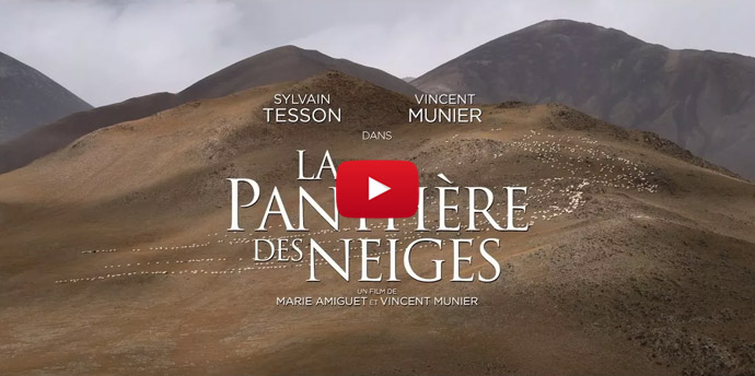 La Panthère des Neiges by Marie Amiguet