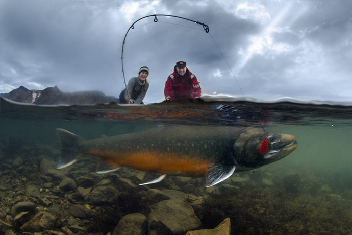 Winner of the Man and Nature category in Global Arctic Awards 2014