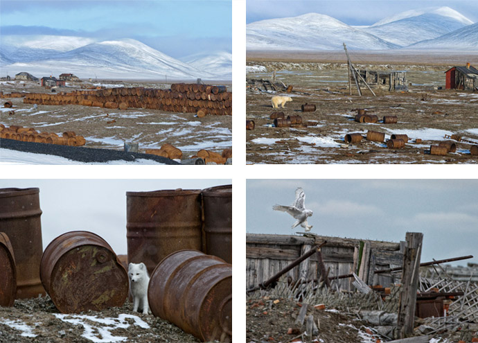 Eroded barrels on Wrangel Island