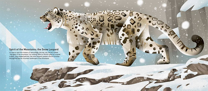 Snow leopard by Dieter Braun