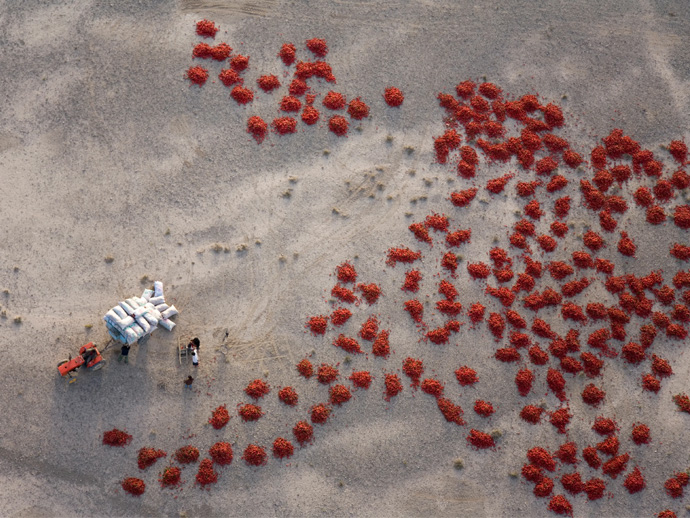 Red peppers laid out to dry near Baicheng, Xinjiang, China by George Steinmetz