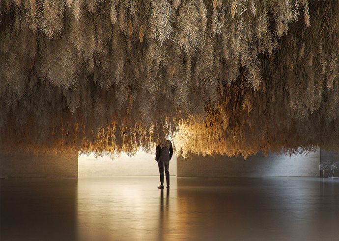 Tadao Cern French Exit